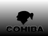 Cohiba4.jpg