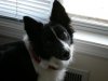 DSCN0329.JPG