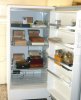 freezer3-27-07 015.jpg