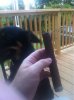 image-3437848573.jpg