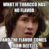 Tobacco Beetles.jpg