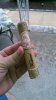 IMAG0757.jpg