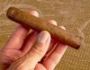 CroMagnon The EMH.jpg