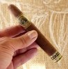Camacho 10th Anniversary 11:18.jpg