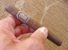 Liga Privada Undercrown Corona Viva.jpg