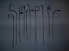 DSCN2053.jpg