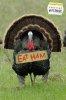 eat_ham.jpg