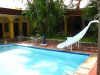 hond pool.jpg