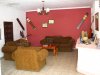 hond lounge.jpg