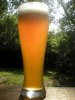 BavarianHefe 003-400.jpg