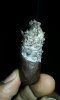 20160217_014648.jpg