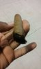20160221_220557.jpg