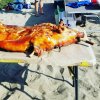 IMG_20160430_171034.jpg