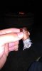 IMAG0273.jpg