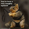 squirrel.gif