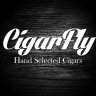 Cigar Fly