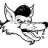 coyote_5