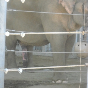 zoo tour
