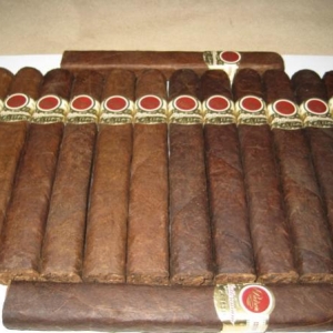 Padron