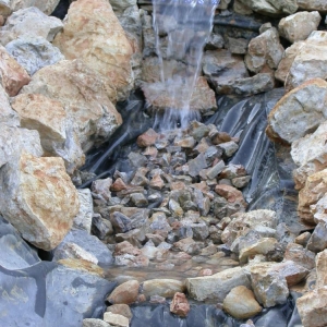 Rain water and water fall garden