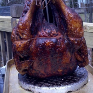 Turkey Day 2011