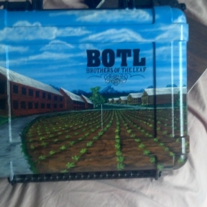 Cigar Safair BOTL 2014