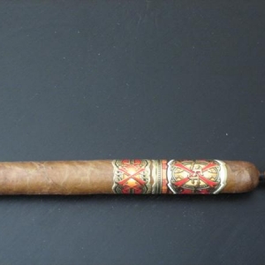 Opus X Princesa D