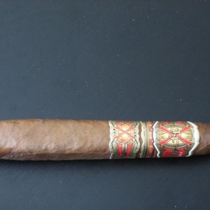 Opus X Rising X