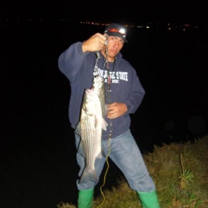 Vallejo Striper