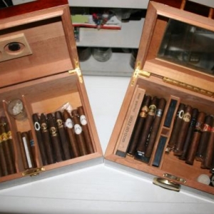 my humidors opened