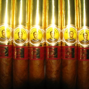 Bolivar GM's