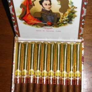 Bolivar GM's 2