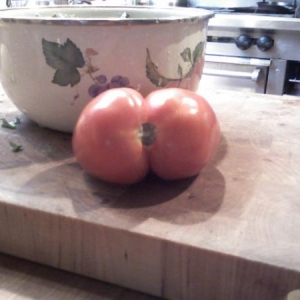 Tomato ass