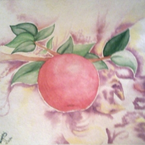 Water Color. Practicing volume. Apple. COPIED