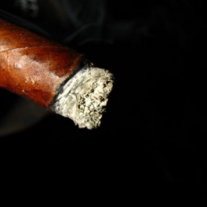 Cigar2 6