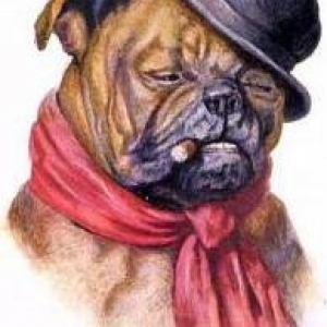 vintage dog art bulldog smoking a cigar wearing a black hat