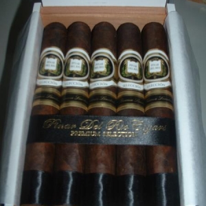 NEW PDR - SELECCION