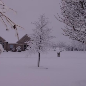 Looking out my front door