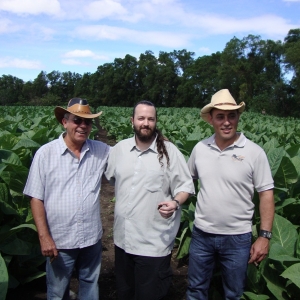 In the feilds of Esteli