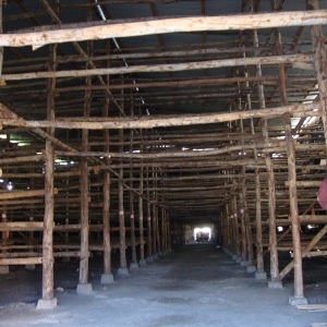 Curing barn - cool pic!