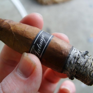 Tatuaje Black Tubo