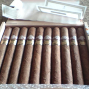 MONTECRISTO SUBLIMES LTD 2008