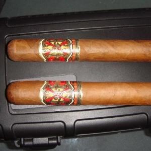 OPUS X