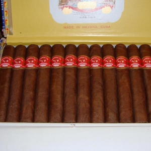 PARTAGAS SHORTS