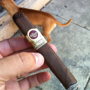 Padron 64 Exclusivo Maduro