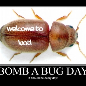 Bomb a bug Day