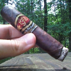 Double Ligero 660