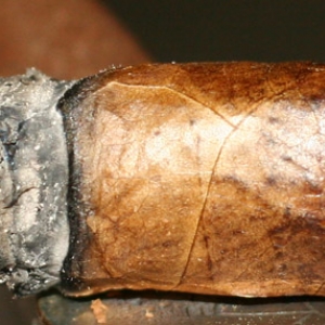 upmann 4