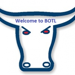 bull logo01