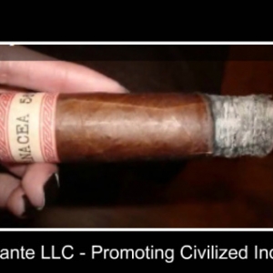 CigarVolante LLC   Promoting Civilized Indulgence   Google Chrome 4162011 72151 AM.bmp 3